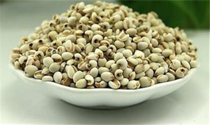 薏米仁连续吃多久去湿 大家注意啦！你吃的薏米/薏仁用硫磺熏了吗