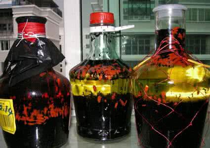 麝香泡酒方法 麝香泡酒可以喝吗 麝香泡酒喝的功效