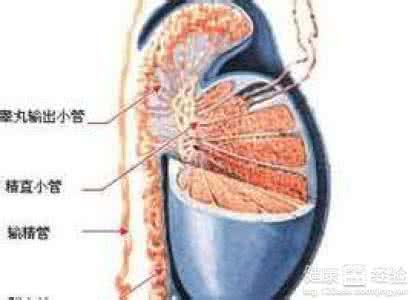 左下腹部疼痛拉肚子 腹部痛什么病 肚子疼痛怎么办