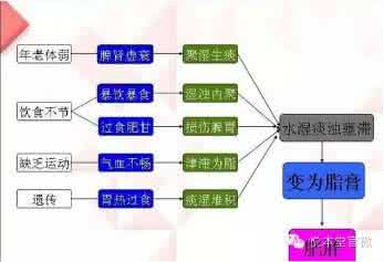 路老膏方 打造体质 路老膏方 打造体质 6种食物 打造春季健康体质