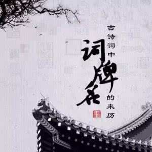 虞美人词牌名的由来 词牌名及由来?(建议收藏.)