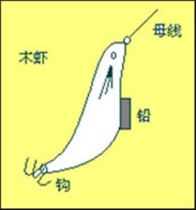 钓鱿鱼木虾绑法图片 木虾如何绑?