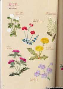 户冢贞子的绝美刺绣 0093日文(戸塚贞子)花朵刺绣集