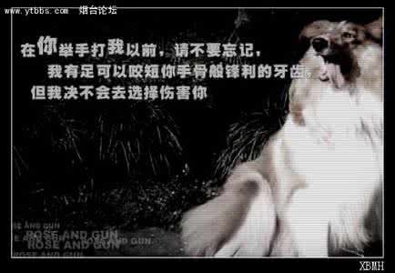 上起我亲爱的小主人 亲爱的主人,你经历过绝望吗?