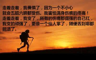 走着走着就老了歌曲 走着走着就老了