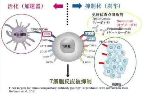 质子泵抑制剂适应症 免疫疗法新突破 抑制剂血癌适应症