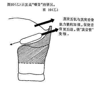 咽音练声的八个步骤 咽音的来源