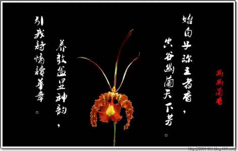 极品家丁诗句 极品诗句欣赏