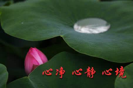 心境心静心净 心净 心静 心境（美文欣赏）