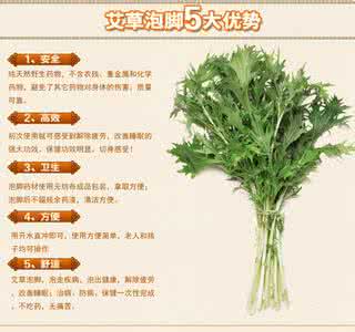艾叶泡脚能排哪里的寒 艾叶的作用 艾叶泡脚去寒又不泻气
