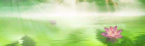 余秋雨阅读让生命优雅 让生命优雅高尚起来