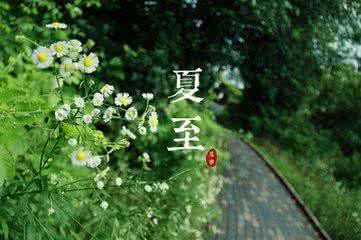 二十四节气养生与习俗,立夏,小满,芒种,夏至,小暑,大暑