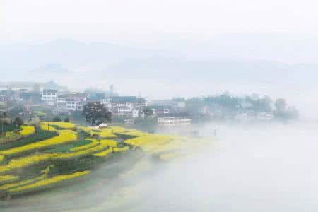 浙江花海 浙江又出一个惊艳小县城！花海渔村全囊括，高铁自驾都方便