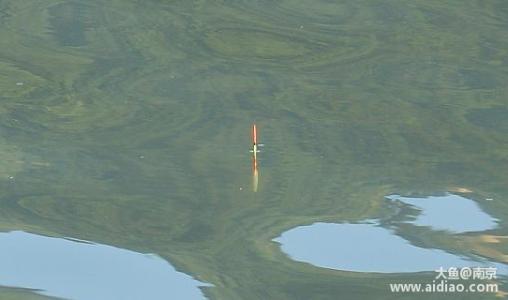 钓小鱼用什么浮漂 钓小鱼用什么浮漂?