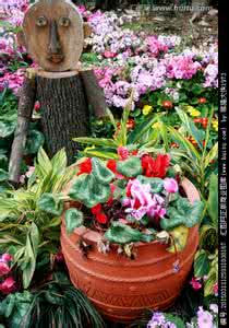 阳台蔬果混栽园艺 技能｜秀色可餐！用园艺拯救厨余蔬果