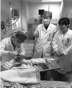 孕妇梦见家人打死蛇 孕妇梦见家人打死蛇 医生打死不让家人吃这东西