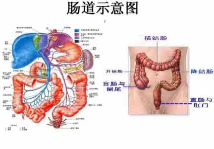 肠道疾病有哪些症状 肠道疾病