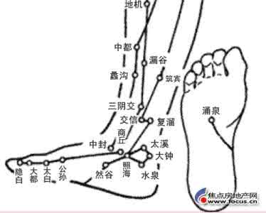 中里巴人经典笔记版 转载：中里巴人老师健康大讲堂笔记和找穴位3【非常实用】
