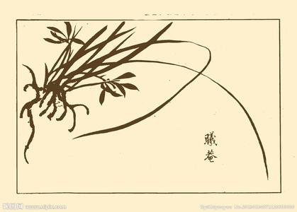 芥子园画谱树的画法 芥子园画谱树的画法 《芥子园画谱》兰花的画法！