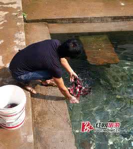 古画动起来 养在深闺人未识——古画美女动起来