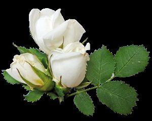 知足人生 心若知足，人生处处是风景