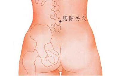 腰阳关 腰阳关穴【图片】