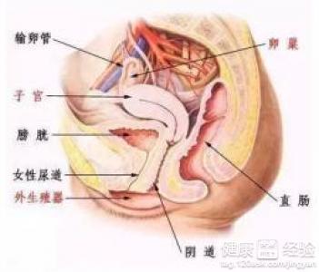 咨询外阴瘙痒治疗方法 小女孩外阴痒的原因及治疗方法