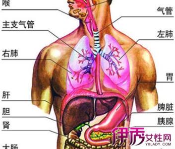 肝胆胰脾肾彩超 眩晕:一般都是由于肝胆升降失调,脾肾湿寒造成的