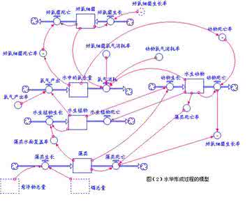 系统动力学 呼吸系统动力学