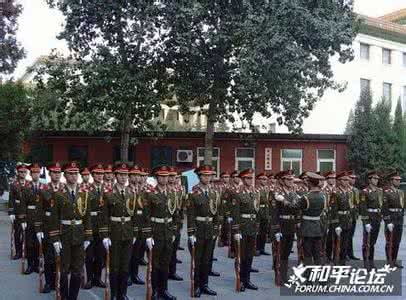 中央警备团 中央警备团是什么兵种？