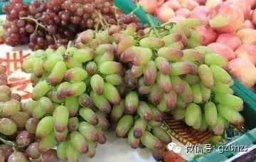 冬虫夏草怎么吃最好 吃葡萄，它比冬虫夏草好用多了，吃了多年竟没人知！