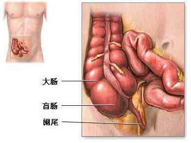 十个人体最脏的地方 十个人体最脏的地方 人体有7个地方最脏，你知道几个？
