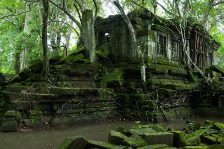 柬埔寨丛林飞跃 柬埔寨巴芳寺  王朝湮灭，丛林吞噬