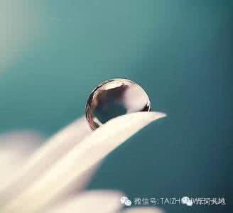 夏一文心灵禅语 人生禅语黄金7句，句句触及心灵！