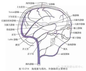 下肢静脉解剖图 美图联播 ▏一看就懂颅内静脉解剖图谱