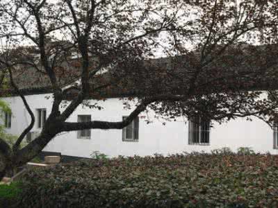 道前街 在道前街驻足观景