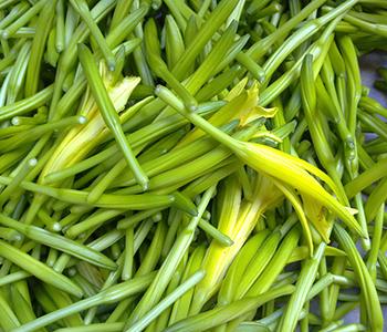 新鲜黄花菜的做法大全 新鲜的黄花菜能吃吗
