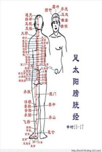 养生先从经络开始 养生先从经络开始11