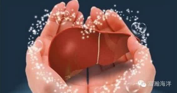 保肝护肝的药哪种最好 肝好，一切都好——保肝护肝全攻略