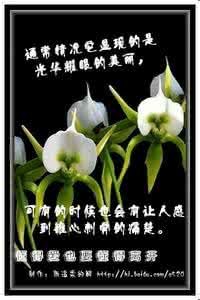 懂得爱 懂得爱也要懂得离开！【情感图文】