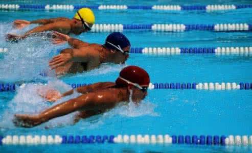 学游泳的技巧 学游泳 四种不同的游泳技巧介绍