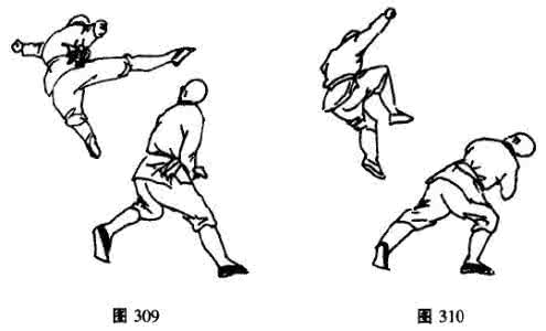 少林绝命腿 金雕 少林十二绝命腿九十式腾龙搅尾和金雕扑食