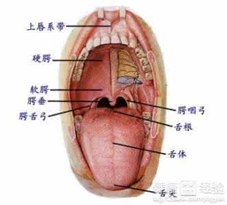 治疗扁桃体炎的偏方 治疗扁桃体炎的偏方 扁桃体炎的偏方