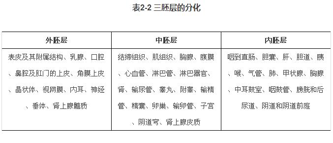 柴胡桂枝汤的功效 解表和里 柴胡桂枝汤的做法及功效