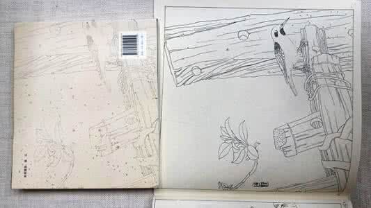 天津美院花鸟画画家 湖北美院教授被温州一画家抄袭:一本画册71幅全部被抄