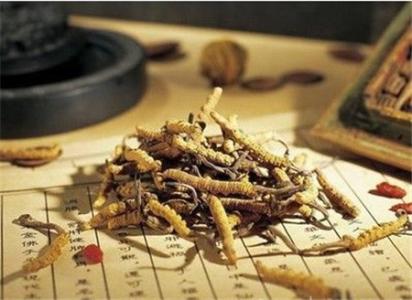 根治一切骨病的秘方 根治一切骨病的秘方 根治一切骨病秘方——麻黄艾叶粉