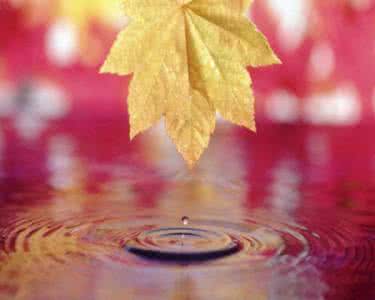 三大骨折难愈合的部位 秋雨过后三大部位千万别受冻