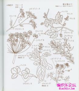 树叶刺绣 一组漂亮的鲜花、树叶刺绣图案，有刺绣基础技巧