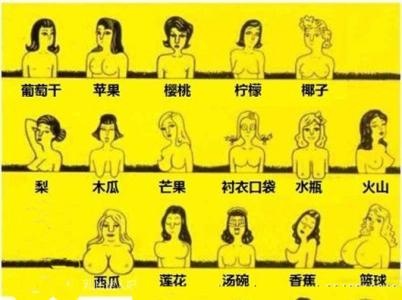 布里格斯性格分类法 布里格斯性格分类法 水果分类法 从乳房形状看女人性格