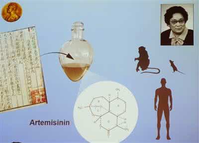 屠呦呦获奖中科院反对 实现中国科学诺奖零突破的屠呦呦，用的方法和中医没什么关系